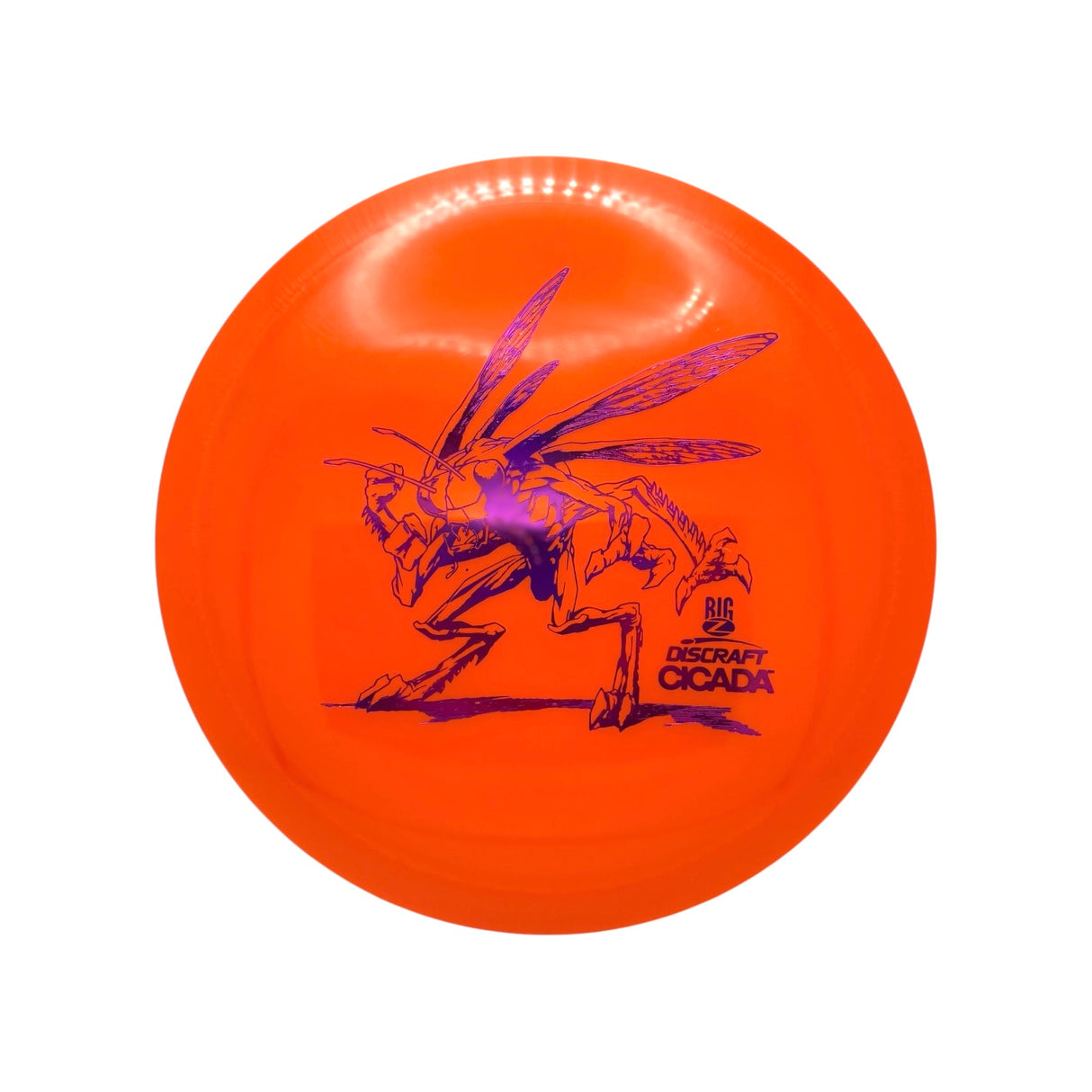 Cicada - Big Z